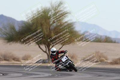 media/Nov-30-2025-TrackXperience (Sun) [[c0061d280f]]/2-Level 2/Session 6 Turn 4 Tree of Life/